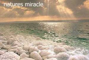 20080221201849!Dead-sea-5