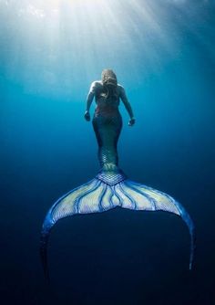 d88ab58facc45d63fd8fd20c81bef343