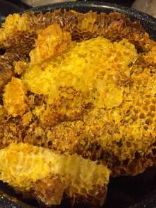 FB_IMG_1461816411986